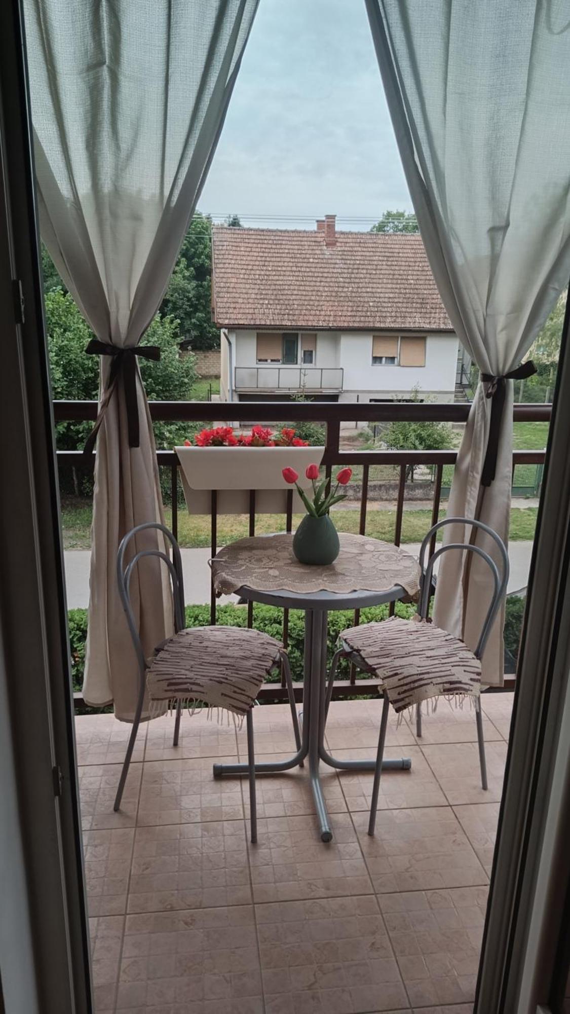 Dora Apartman Palić المظهر الخارجي الصورة