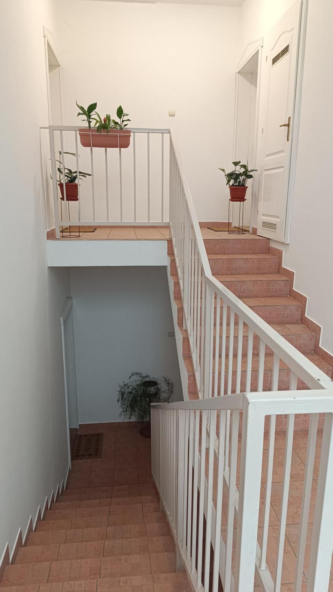 Dora Apartman Palić المظهر الخارجي الصورة